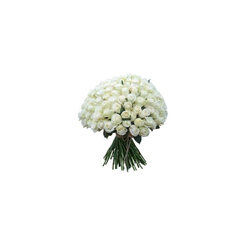 100Long Stems of White Roses